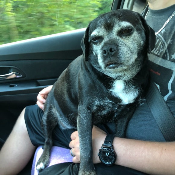 Meet your Posher, Melissa - Picture 5 of 5